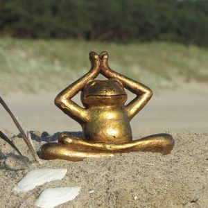 Yoga Frog Statue on beach